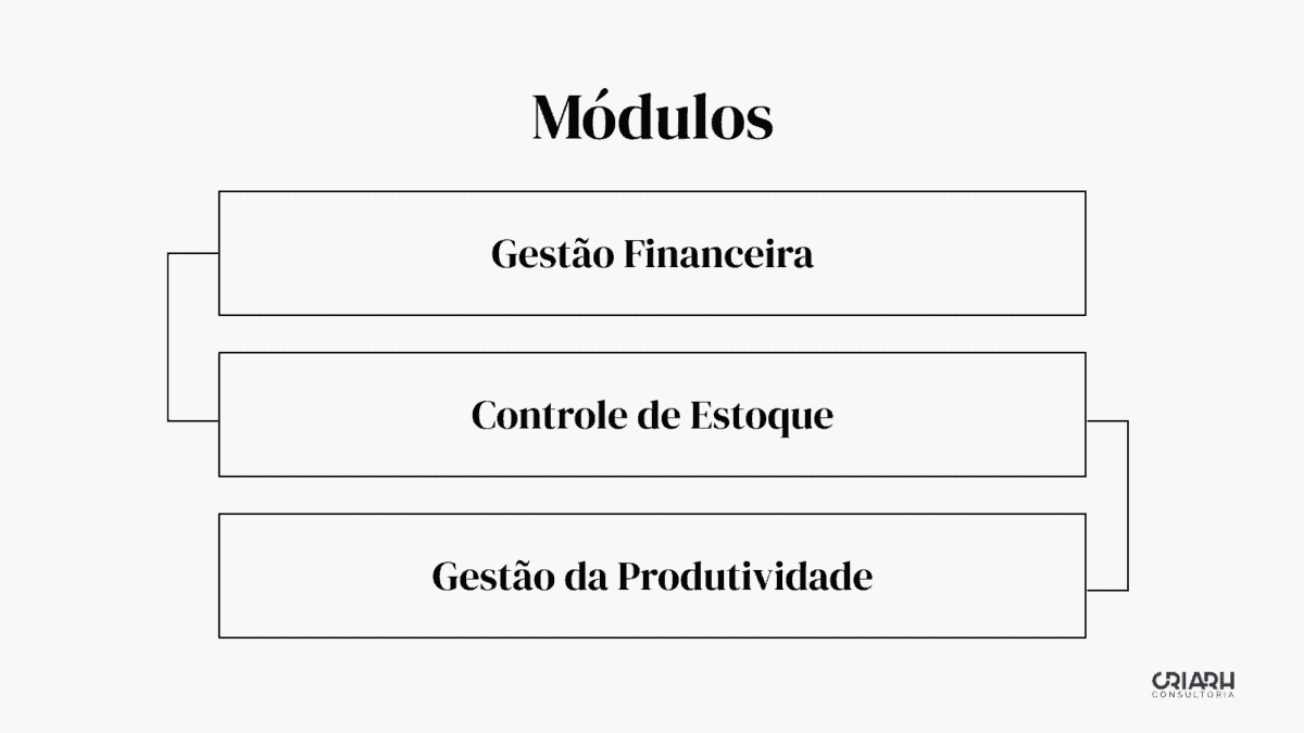         Descrição: Diagrama representando um Sistema de Gestão com as palavras 'módulos' e as palavras 'controlo financeiro'.