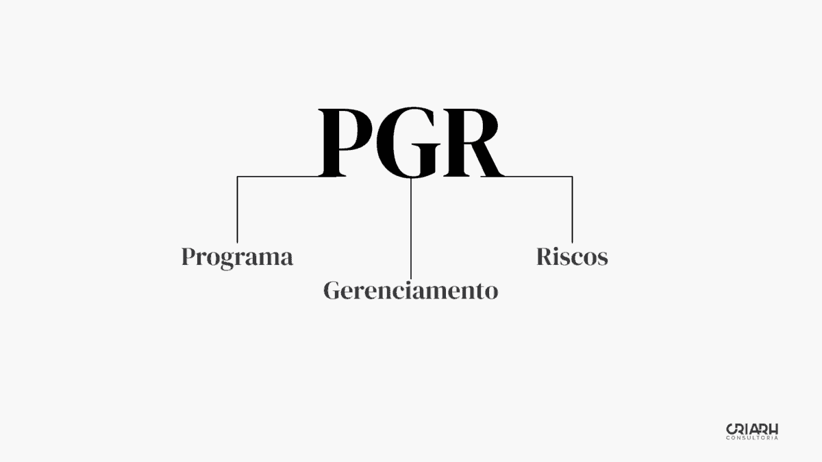 O que é Pgr - Programa Genéricos.